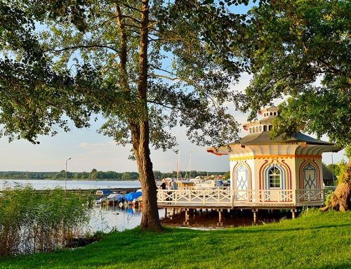 Rund um den Zierker See in Neustrelitz  Wanderung für Genießer:innen und Naturfreund:innen 